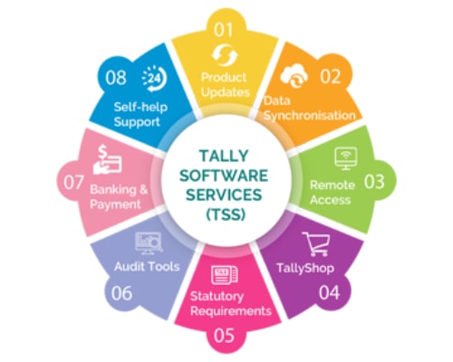 Tally Software Services