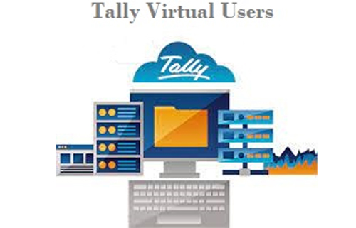 Tally Virtual User (TVU) License
